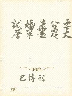 试婚老公要给力唐宁墨霆大结局