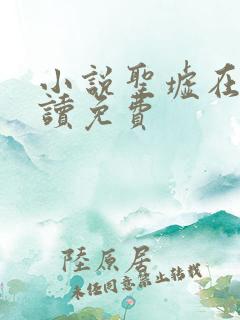 小说圣墟在线阅读免费