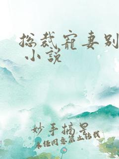 总裁宠妻别太坏 小说