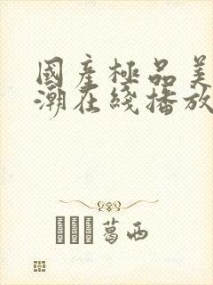 国产极品美女高潮在线播放网站