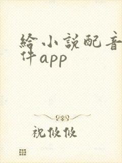 给小说配音的软件app