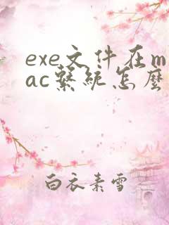 exe文件在mac系统怎么打开