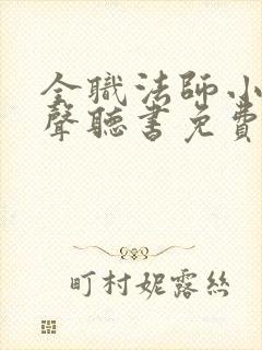 全职法师小说有声听书免费