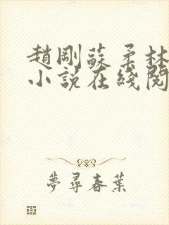 赵刚苏柔林风的小说在线阅读无弹窗免费阅读