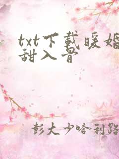 txt下载暖婚甜入骨