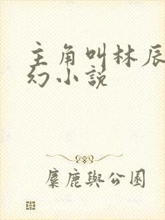 主角叫林辰的玄幻小说
