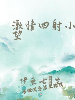 激情四射小说欲望