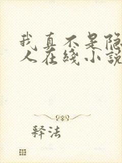 我真不是隐世高人在线小说