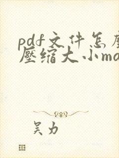 pdf文件怎么压缩大小mac