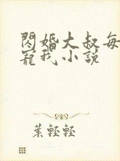 闪婚大叔每天狂宠我小说