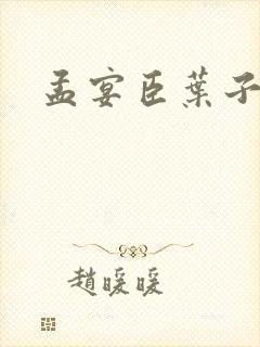 孟宴臣叶子小说