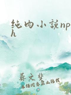 纯肉小说np高h