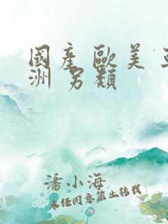 国产 欧美 亚洲 另类
