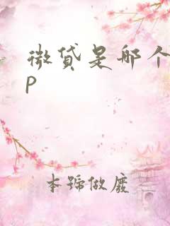 微贷是哪个app