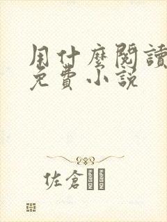 用什么阅读器看免费小说