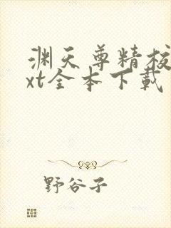 渊天尊精校版txt全本下载