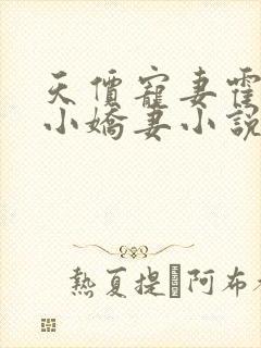 天价宠妻霍总的小娇妻小说免费阅读