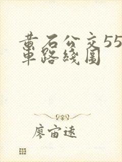 黄石公交55路车路线图