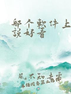 哪个软件上的小说好看