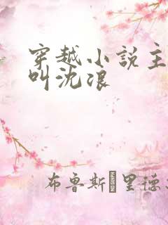 穿越小说主人公叫沈浪
