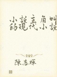 小说主角叫陆晨的现代小说