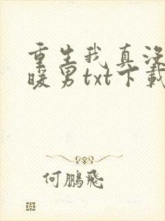 重生我真没想当暖男txt下载