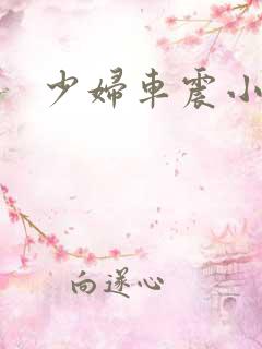 少妇车震小说