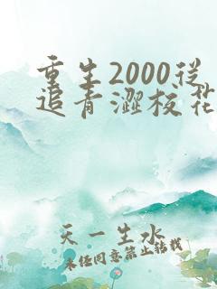 重生2000从追青涩校花同桌开始