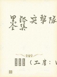 黑狐突击队免费全集
