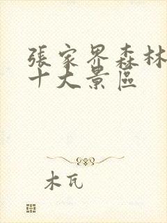 张家界森林公园十大景区