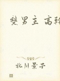 双男主 高干文
