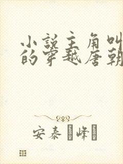 小说主角叫李辰的穿越唐朝小说