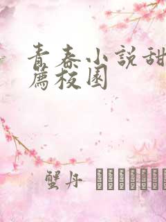 青春小说甜文推荐校园