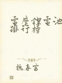 电摩锂电池品牌排行榜