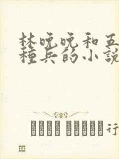 林晚晚和五个特种兵的小说