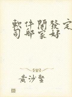 软件开发定制公司哪家好