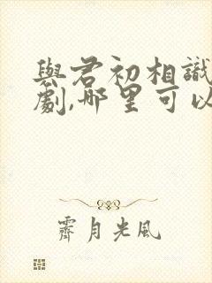 与君初相识电视剧,哪里可以看到?