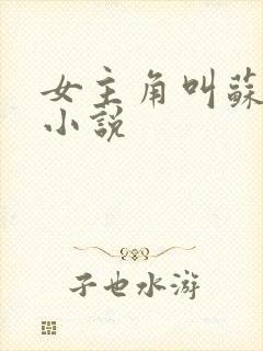 女主角叫苏卿的小说