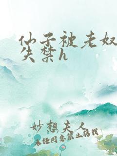 仙子被老奴肉到失禁h