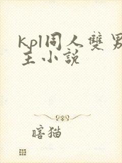 kpl同人双男主小说