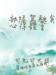 部队驾驶员整顿心得体会