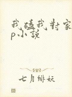我磕我对家的cp小说