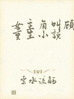 女主角叫顾清欢重生小说