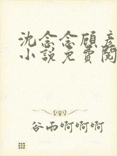沈念念顾彦知的小说免费阅读无弹窗