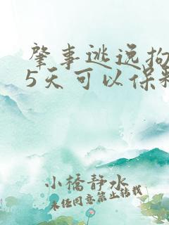 肇事逃逸拘留15天可以保释出来吗
