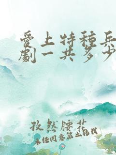 爱上特种兵电视剧一共多少集