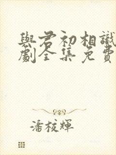 与君初相识电视剧全集免费观看