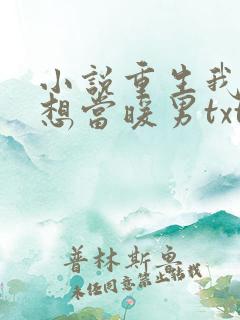 小说重生我真没想当暖男txt