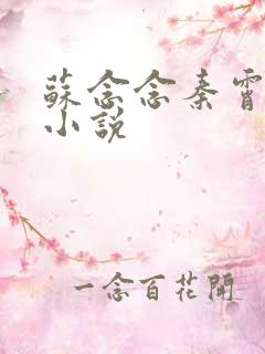 苏念念秦霄北的小说