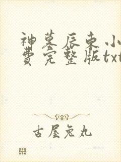 神墓辰东小说免费完整版txt 神墓辰东小说免费完整版txt